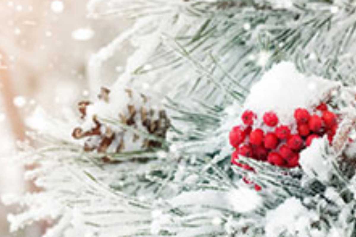 YMCA 5K Jingle Bell Hustle & 1K Dash Logo