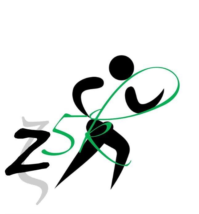 Z-5k Logo